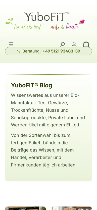 Blog-Übersicht auf dem Smartphone
